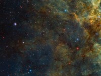A Leg of the Tarantula Nebula