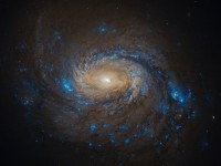 Active Galaxy NGC 1068