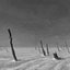 Apocalypse