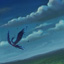 Bird Fall