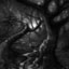 BW Forest