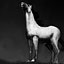 Horse Figure