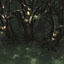 Perspective Trees
