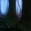 Dark Forest