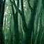 Green Forest