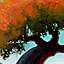 Tree that is Orange